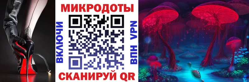 Галлюциногенные грибы Cubensis  Камышлов 